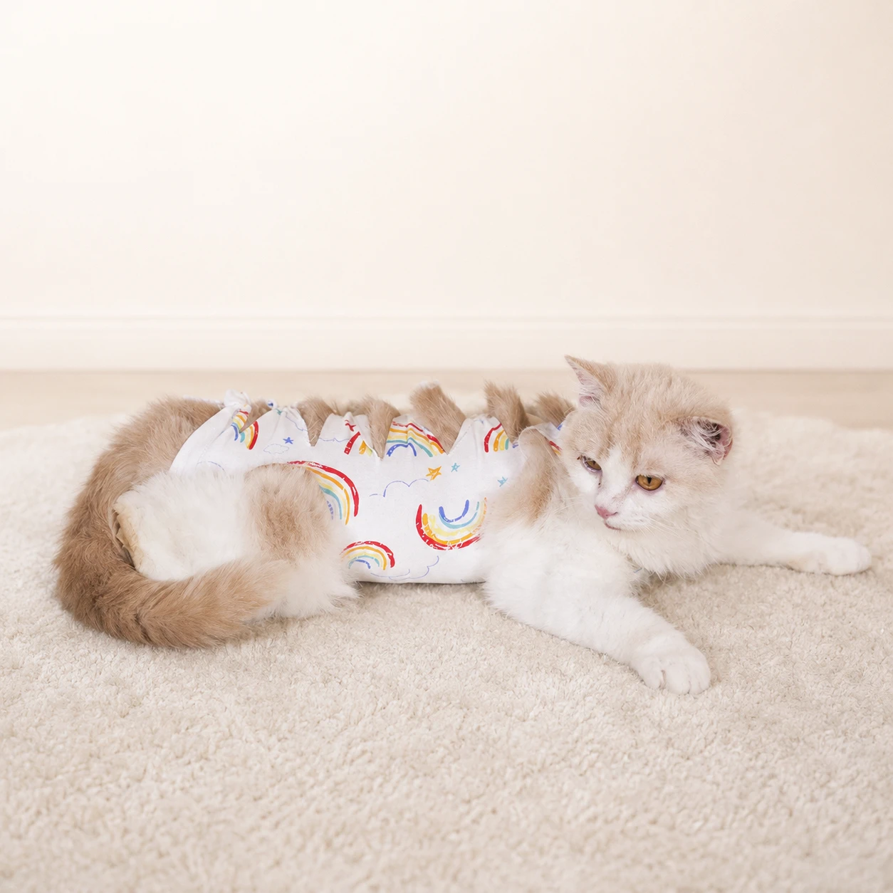 Alternative cat recovery suit design