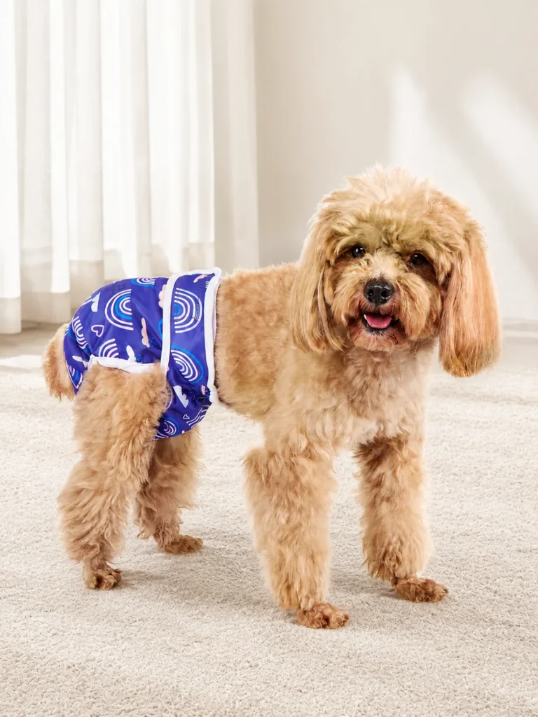 Reusable female dog diaper
