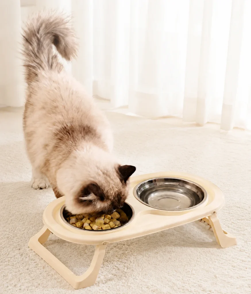 Adjustable elevated pet feeding bowl