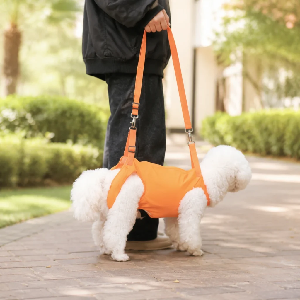 Padded mobility support harness for dogs