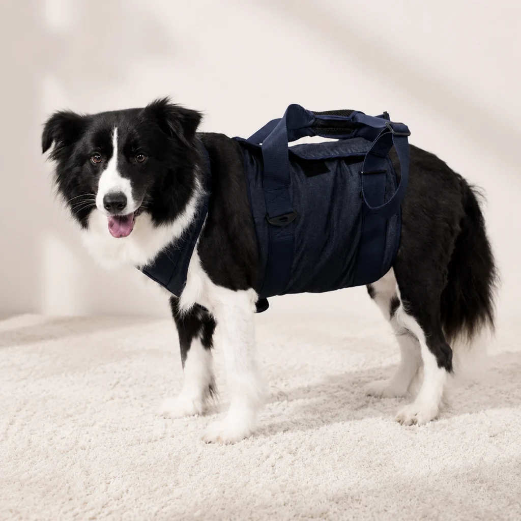 Full-body mobility support harness for senior dogs